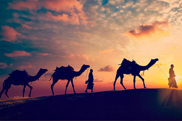 Rajasthan Camel Safari Tour